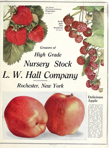 Growers of high grade nursery stock