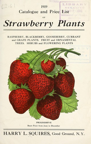 Catalogue and price list of strawberry plants, raspberry, blackberry, gooseberry, currant and grape plants, fruit and ornamental trees, shrubs and flowering plants
