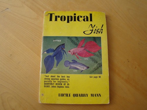 Tropical fish
