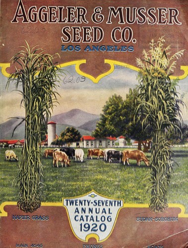 Twenty-seventh annual catalogue