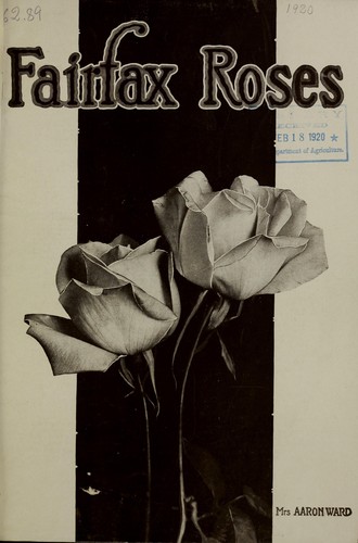 Fairfax roses