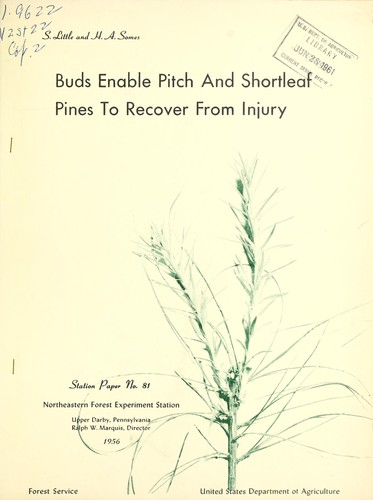 Buds enable pitch and shortleaf pines to recover from injury