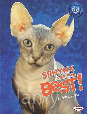 Sphynx Are The Best