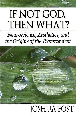 If Not God Then What Neuroscience Aesthetics And The Origins Of The Transcendent