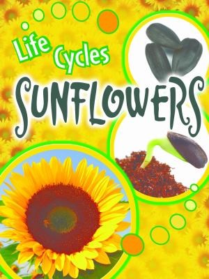 Sunflowers
            
                Life Cycles Rourke Paperback