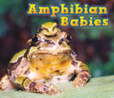 Animal Abilities
            
                Raintree Perspectives Animal Abilities