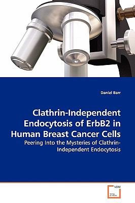 Clathrinindependent Endocytosis Of Erbb2 In Human Breast Cancer Cells Peering Into The Mysteries Of Clathrinindependent Endocytosis