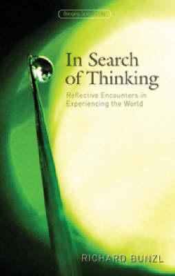 In Search Of Thinking Reflective Encounters In Experiencing The World