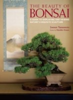 The Beauty Of Bonsai A Guide To Displaying And Viewing Natures Exquisite Sculpture
