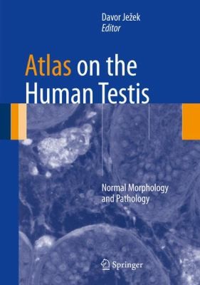 Atlas On The Human Testis Normal Morphology And Pathology