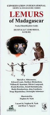 Lemurs Of Madagascar Pocket Identification Guide Diurnal Cathemeral Lemurs