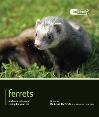 Ferrets  Pet Friendly