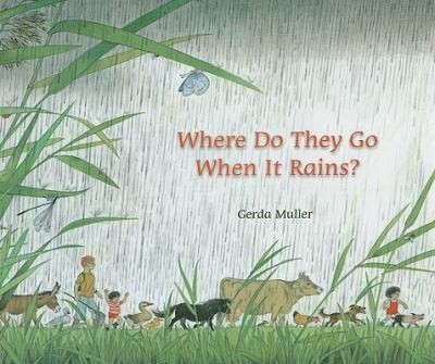 Where Do They Go When It Rains