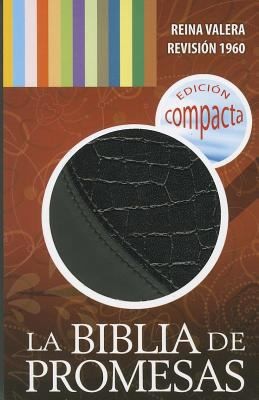 La Santa Biblia Edicion de PromesasRvr 1960