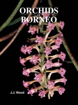 Orchids Of Borneo