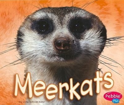 Meerkats
            
                African Animals