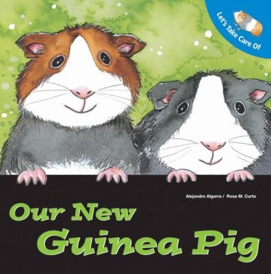 Lets Take Care Of Our New Guinea Pig