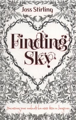 Finding Sky