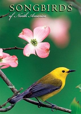 Songbirds of North America Notecards