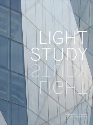 Kruecksexton The New Spertus Institute A Study In Light