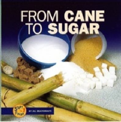 From Cane to Sugar
            
                Start to Finish Lerner Paperback