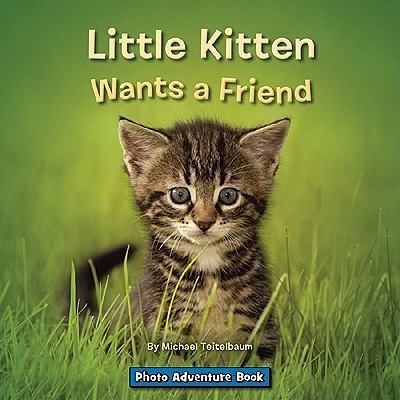 Little Kitten Wants A Friend