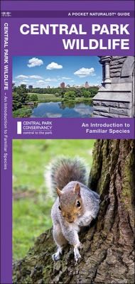 Central Park Wildlife An Introduction To Familiar Species