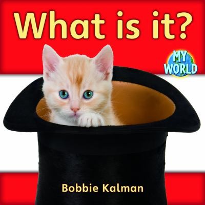 What Is It
            
                Bobbie Kalmans Leveled Readers My World A Paperback