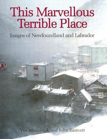 This Marvellous Terrible Place