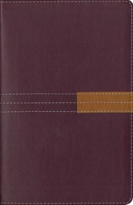 Study BibleNIVPersonal Size