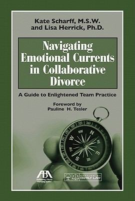 Navigating Emotional Currents In Collaborative Divorce A Guide To Enlightened Team Practice