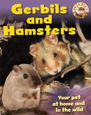 Gerbils And Hamsters
