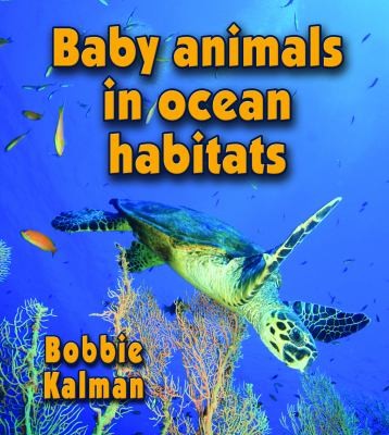 Baby Animals In Ocean Habitats