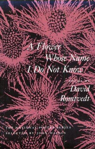 A flower whose name I do not know