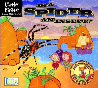 Is A Spider An Insect