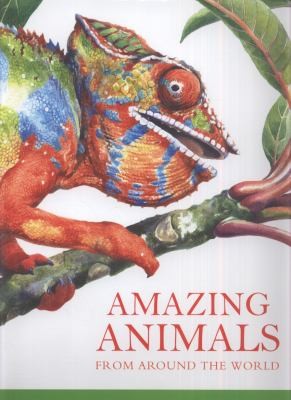 Amazing Animals Rachel Williams