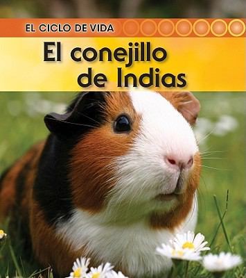 El Conejillo de Indias Guinea Pig
            
                Ciclo de Vida
