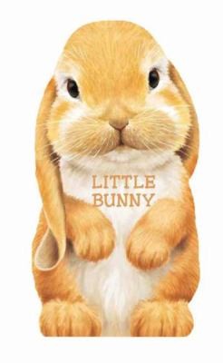 Little Bunny
            
                Mini Look at Me Books