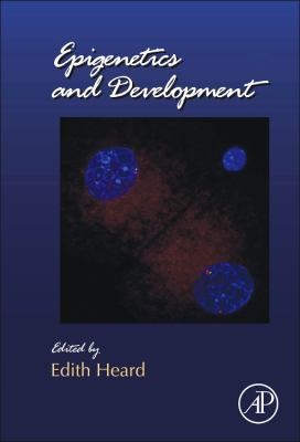 Epigenetics And Development