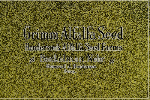 Grimm alfalfa seed