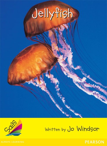 Jellyfish