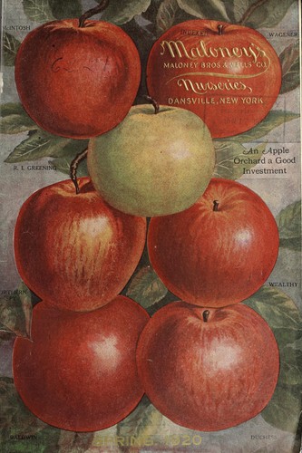 Maloney's Nurseries [catalog]