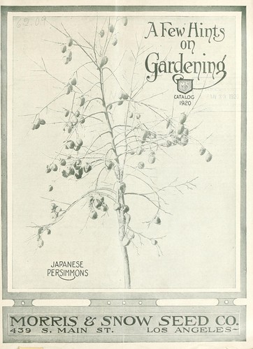 A few hints on gardening