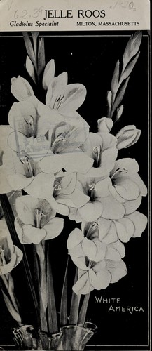 Jelle Roos, gladiolus specialist