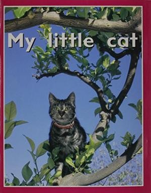Pmp Start 2 My Little Cat Is