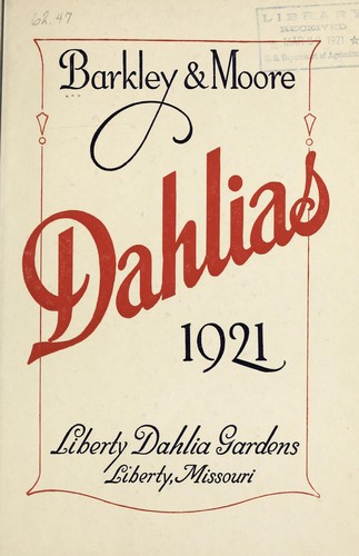 Dahlias