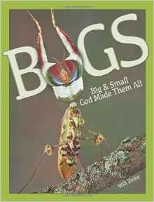 Bugs Big & Small God Made Them All