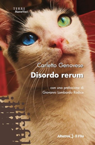Disordo Rerum
