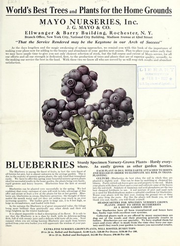 World's best trees and plants for the home grounds