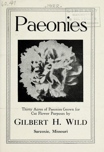 Paeonies